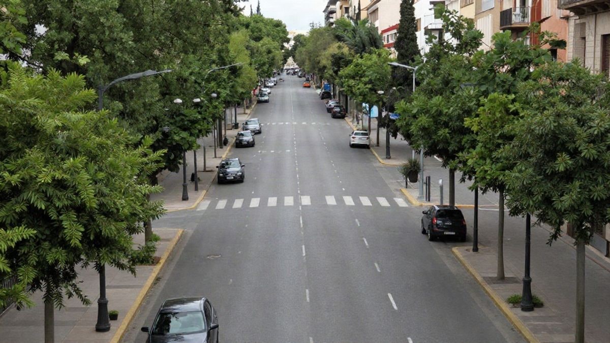 Imagen ilustrativa: vista cenital de una avenida urbana amplia y vacía con árboles y farolas