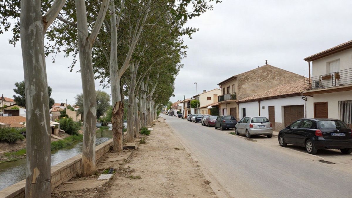 Imagen ilustrativa: calle residencial tranquila con un camino de tierra junto a una orilla arbolada, en un día nublado