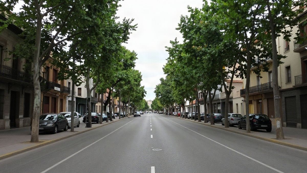 Imagen ilustrativa: avenida urbana vacía con árboles alineados en un día nublado