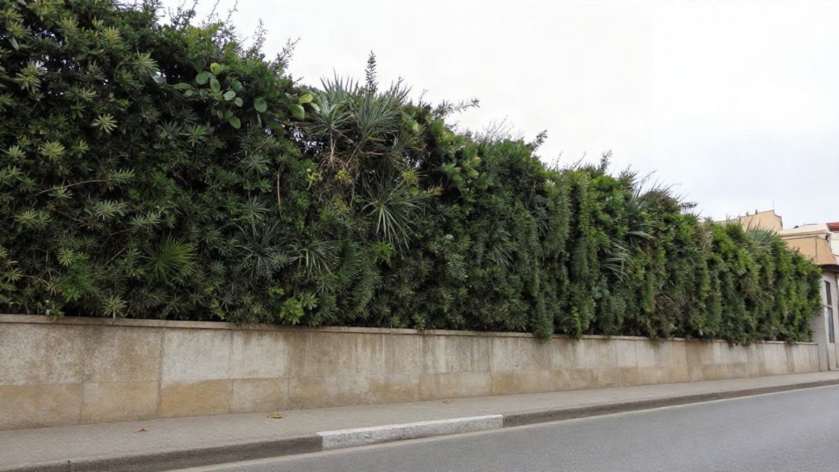 Imagen ilustrativa: muro de hormigón cubierto de plantas verdes junto a una calzada, visto desde abajo con el cielo de fondo