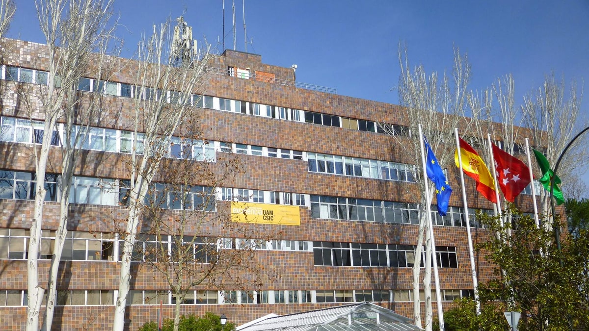 Fachada de ladrillo del Rectorado de la Universidad Autónoma de Madrid con banderas y rótulo amarillo.